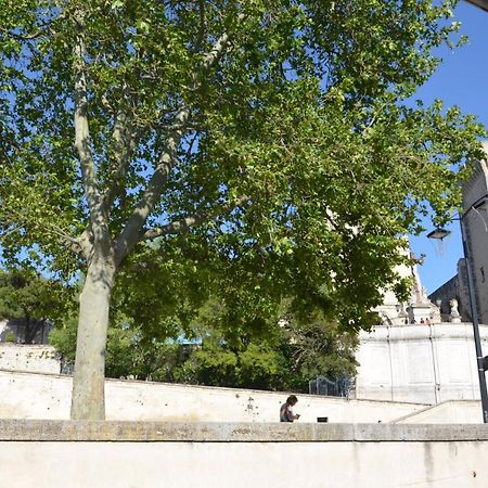 Face Au Palais Des Papes Apartment Avignon Exterior photo